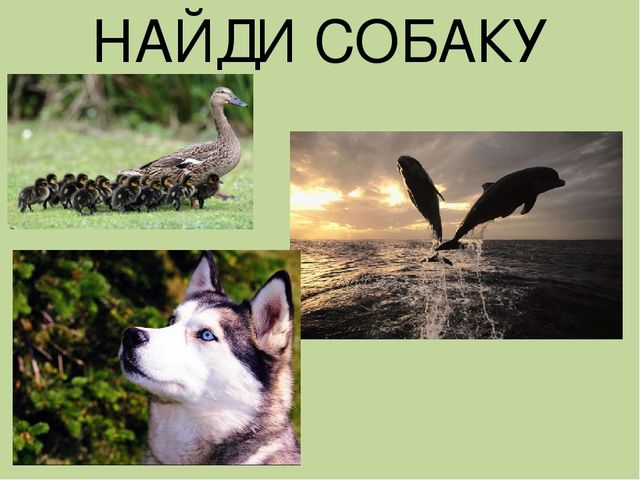 Дидактическая игра на тему: «Весёлые зверята»