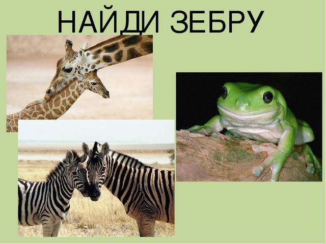 Дидактическая игра на тему: «Весёлые зверята»