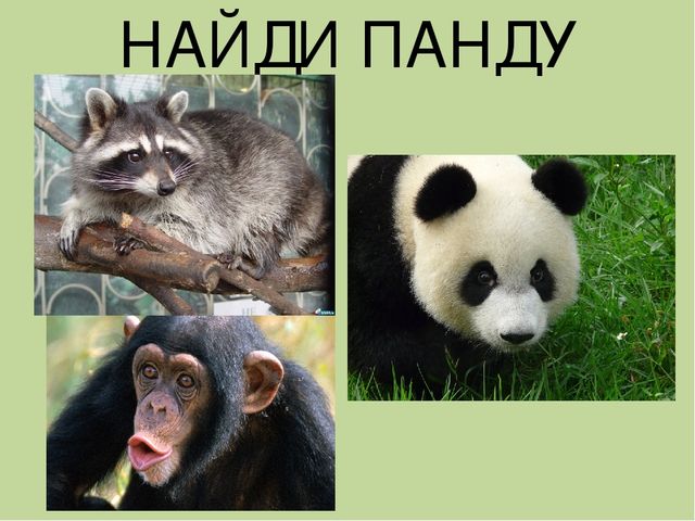 Дидактическая игра на тему: «Весёлые зверята»