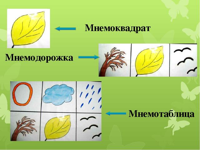 Презентация к родительскому собранию "Развитие речи и памяти детей дошкольного возраста средствами мнемотехники"