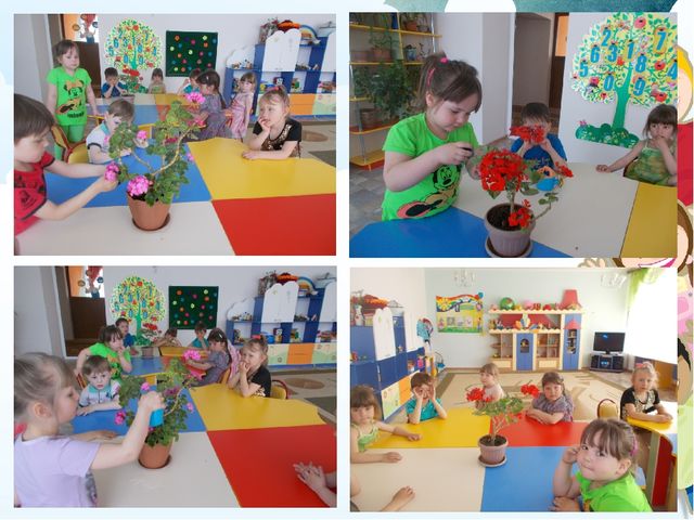 Презентация :«Развитие сенсорных способностей  детей 3–4 лет через организацию опытно – экспериментальной деятельности  с детьми».