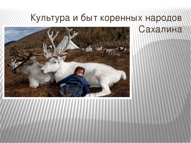 Презентация к НОД коренные народы Сахалина