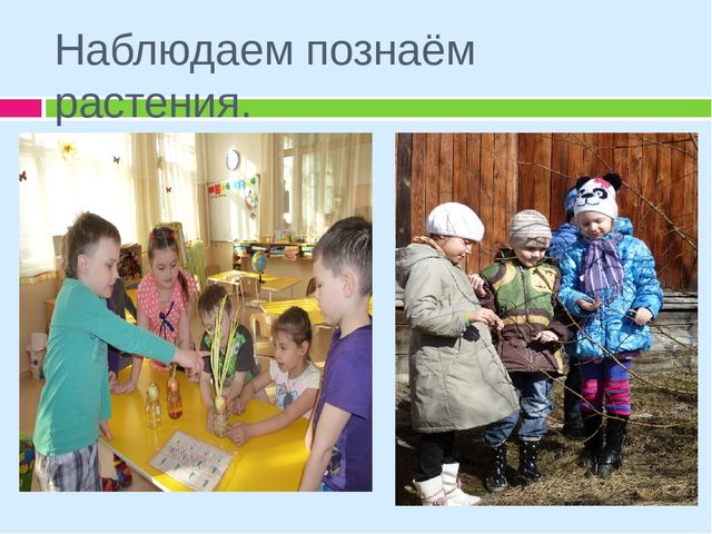 ПРЕЗЕНТАЦИЯ Тематическая неделя "День Земли"