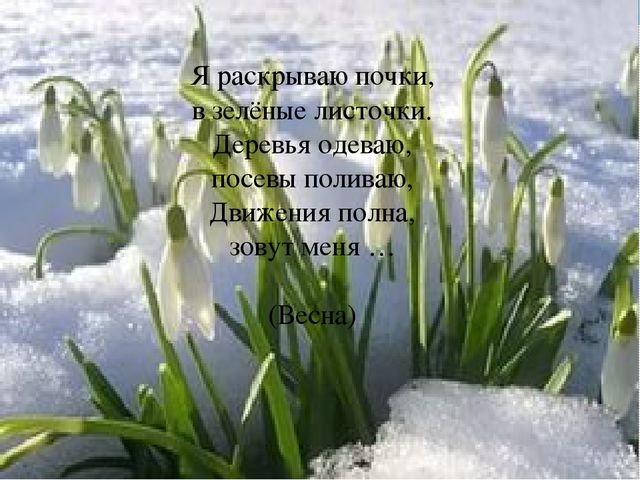 Презентация занятия на тему Весна