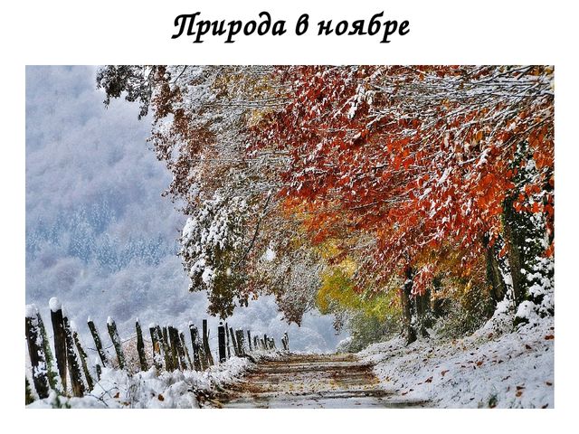 Презентация для закрепления материала по теме: "Осень"