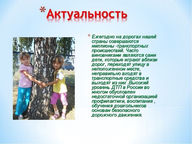 Педагогический проект «Школа дорожных наук»