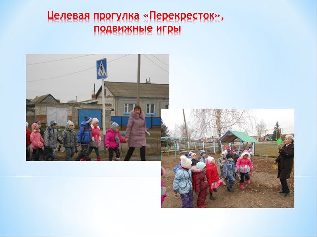 Педагогический проект «Школа дорожных наук»