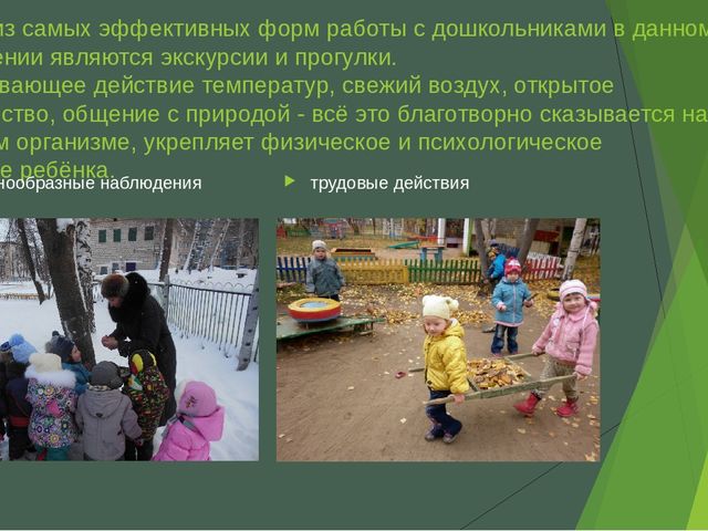 Презентация "Формирование элементарных валеологических знаний у дошкольников"