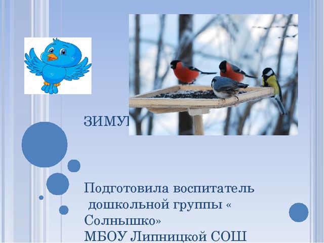 Презентация по окружающему миру на тему " Зимующие птицы"