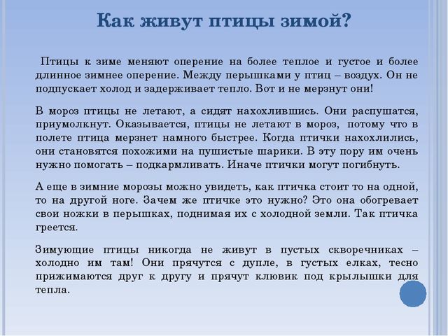 Презентация по окружающему миру на тему " Зимующие птицы"