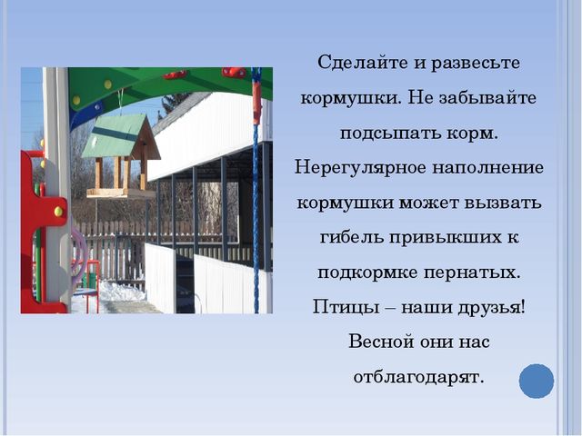 Презентация по окружающему миру на тему " Зимующие птицы"