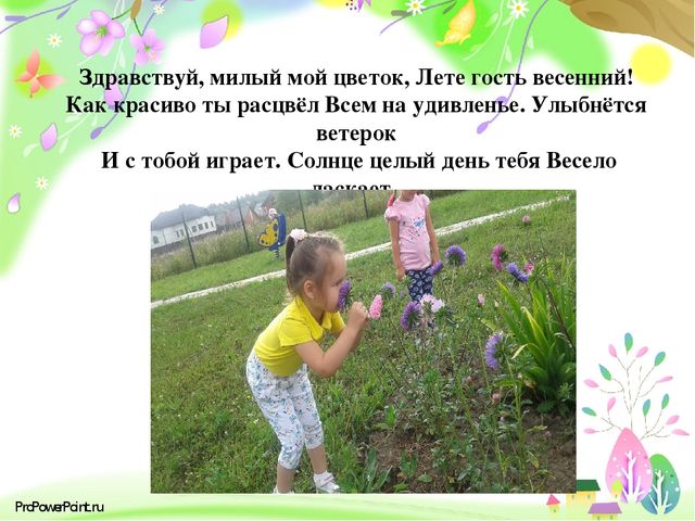 Презентация " Вот как мы провели лето"