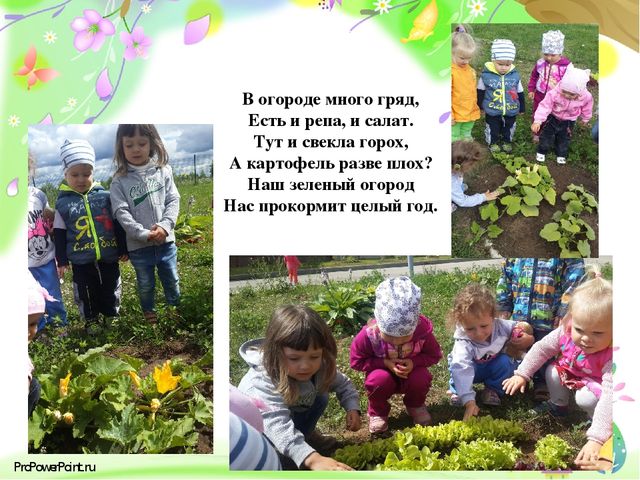 Презентация " Вот как мы провели лето"