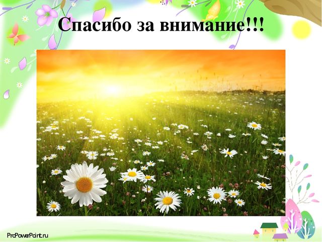 Презентация " Вот как мы провели лето"
