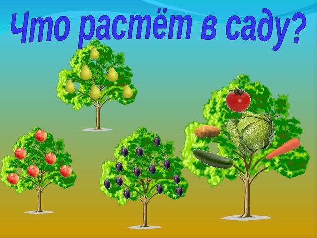 Проект "Чудо фрукты и овощи".
