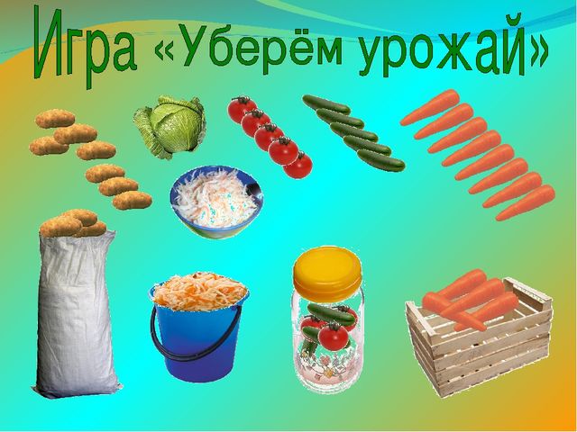 Проект "Чудо фрукты и овощи".