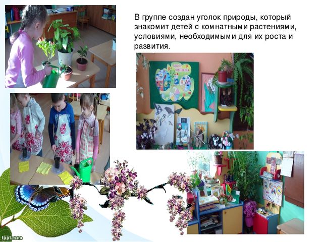 "Я хочу дружить с природой" презентация