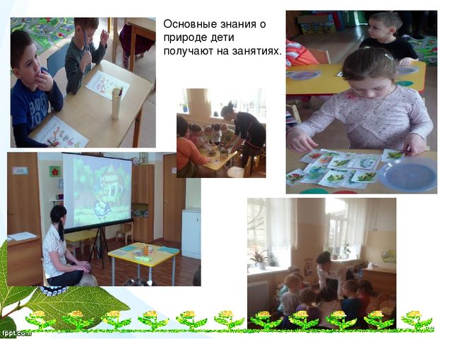 "Я хочу дружить с природой" презентация