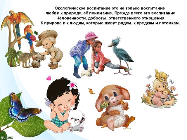 "Я хочу дружить с природой" презентация