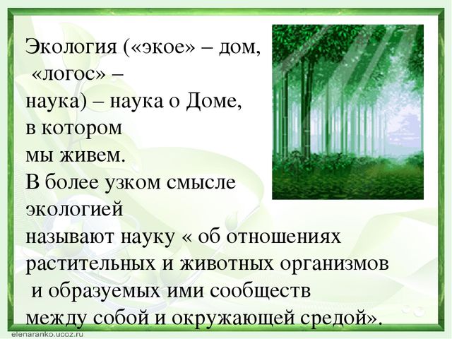 Деловая игра по экологическому воспитанию презентация