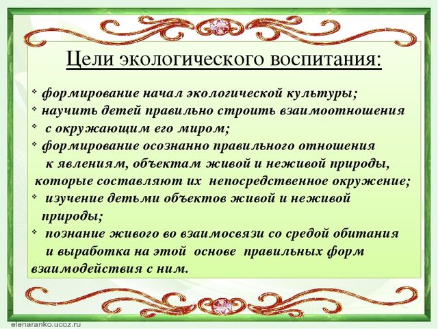 Деловая игра по экологическому воспитанию презентация