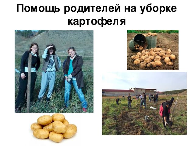 Итоги I полугодия в подготовительном классе для детей с ОВЗ