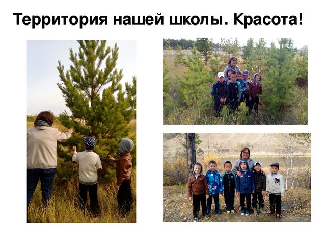 Итоги I полугодия в подготовительном классе для детей с ОВЗ