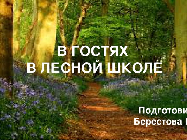 Презентация по развитию речи, экологии "В гостях в лесной школе" старшая группа