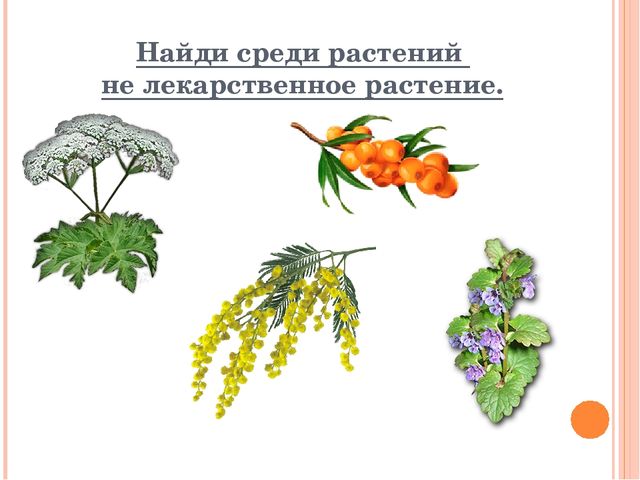 Интерактивное пособие для детей подготовительной группы "Уроки Айболита"