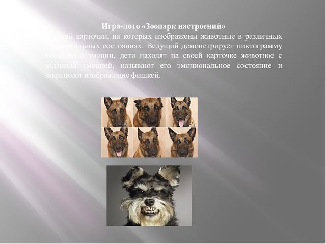 Творческий проект "Знакомство с новой эмоцией"