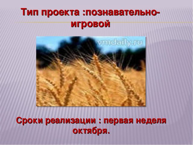 Презентация "Хлеб всему голова"