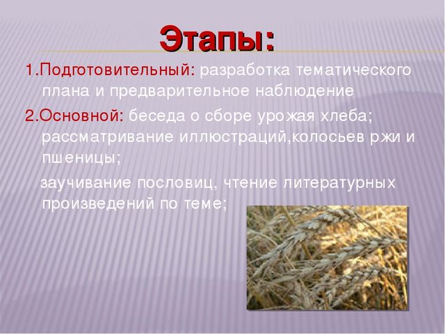 Презентация "Хлеб всему голова"