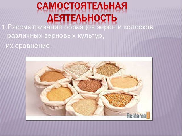 Презентация "Хлеб всему голова"