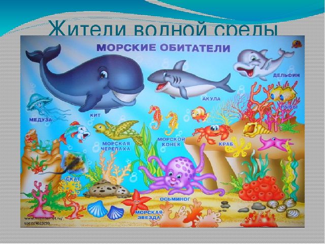 Презентация на тему : "Волшебные превращения воды"