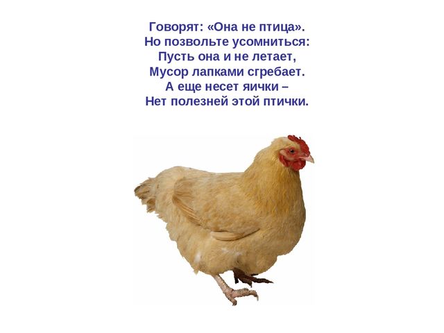 Презентация по развитию речи "Домашняя птица"