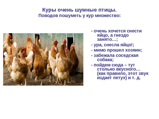 Презентация по развитию речи "Домашняя птица"
