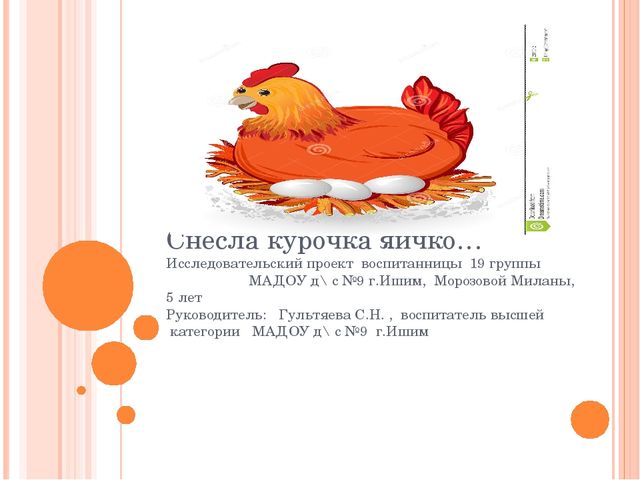 Презентация исследовательского проекта "Снесла курочка яичко".