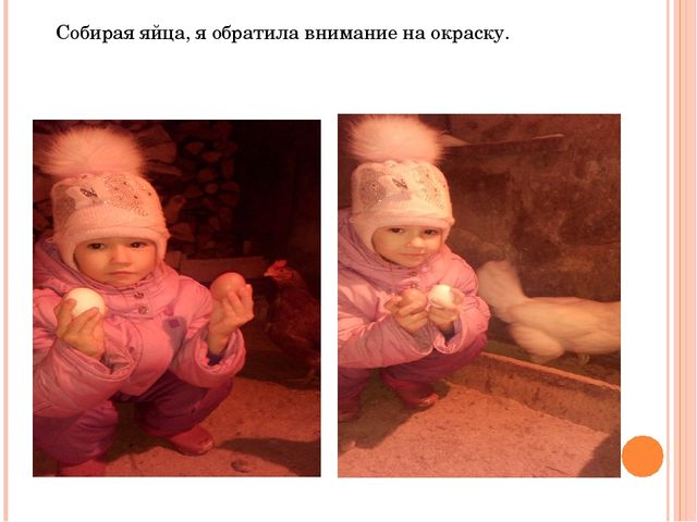 Презентация исследовательского проекта "Снесла курочка яичко".