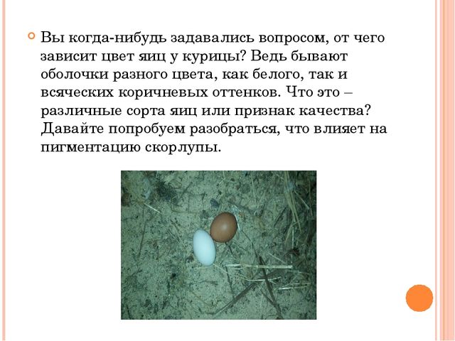 Презентация исследовательского проекта "Снесла курочка яичко".