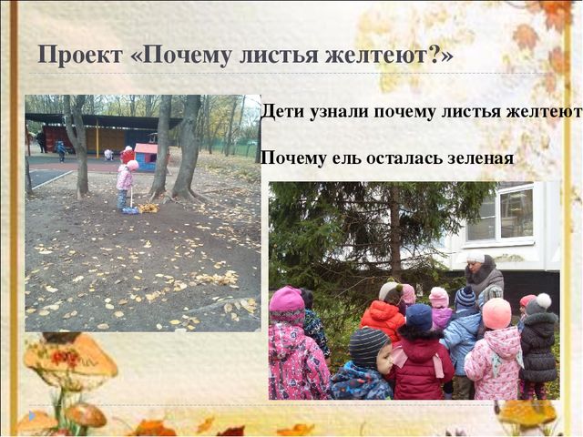 Презентация на тему проектная деятельность в развитии речевой активности