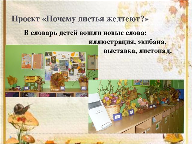 Презентация на тему проектная деятельность в развитии речевой активности