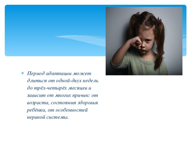 Презентация: Адаптация детей к ДОУ