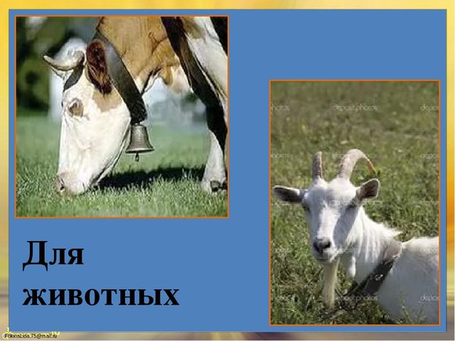 Презентация "Колокола о мире нам поют" для детей старшей группы