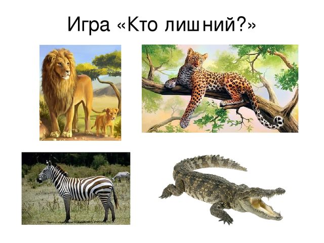 Презентация к уроку "Путешествие в Африку"