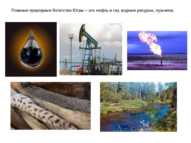 Презентация "Мы живем в ХМАО - Югре"