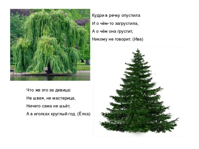 Презентация "Мы живем в ХМАО - Югре"