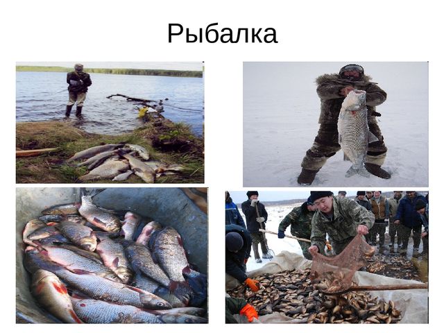 Презентация "Мы живем в ХМАО - Югре"