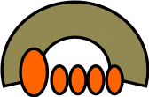 Shape2