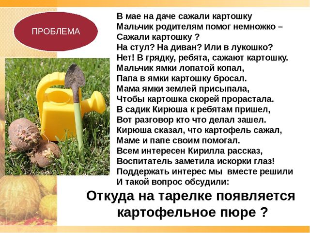 Презентация по ознакомлению с окружающим проект "Ах, картошечка,картошка"