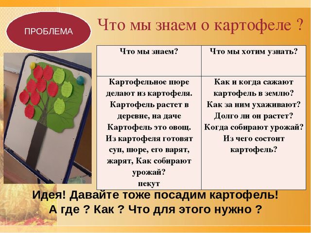 Презентация по ознакомлению с окружающим проект "Ах, картошечка,картошка"